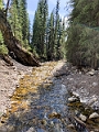 Kananaskis052