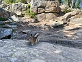 LakeLouise114
