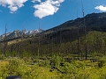BowValleyParkway010