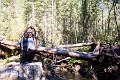 TrollFalls038