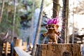 TrollFalls049