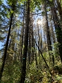 TrollFalls066