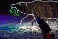 ZooLights002