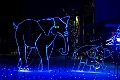ZooLights005