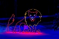 ZooLights006