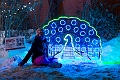 ZooLights009