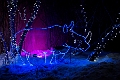 ZooLights012