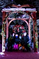 ZooLights017