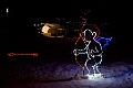 ZooLights019