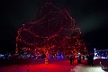 ZooLights021
