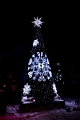 ZooLights023