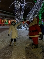 ZooLights034