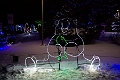 ZooLights037
