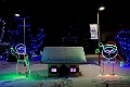 ZooLights038