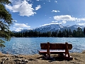 Jasper011