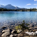 Jasper016
