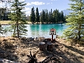 Jasper017