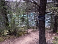 Jasper066