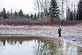 Jasper067