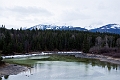 Jasper068