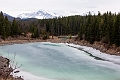 Jasper069