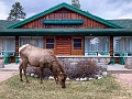 Jasper086