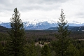 Jasper097
