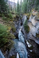 Jasper107