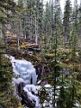 Jasper116