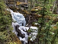 Jasper117
