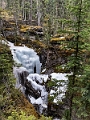Jasper118