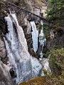Jasper119