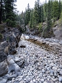 Jasper121