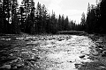 Jasper126