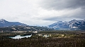 Jasper138