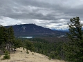 Jasper156