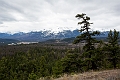 Jasper158