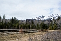Jasper160