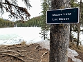 Jasper171