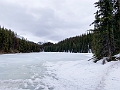 Jasper173