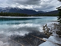 Jasper184