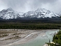 Jasper185