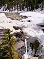 Jasper189