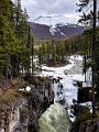 Jasper194
