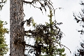 RawsonLake009