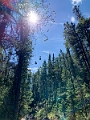 SulphurMountain006