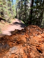 SulphurMountain008