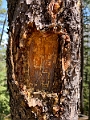 SulphurMountain011