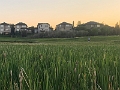 ChestermereLake008