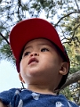 JohnsonLake022